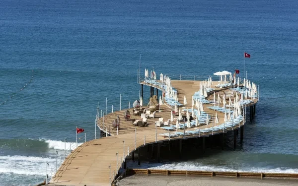 Indispensable for celebrations and organizations